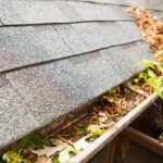 Clogged roof gutters filled with leaves and pine straw