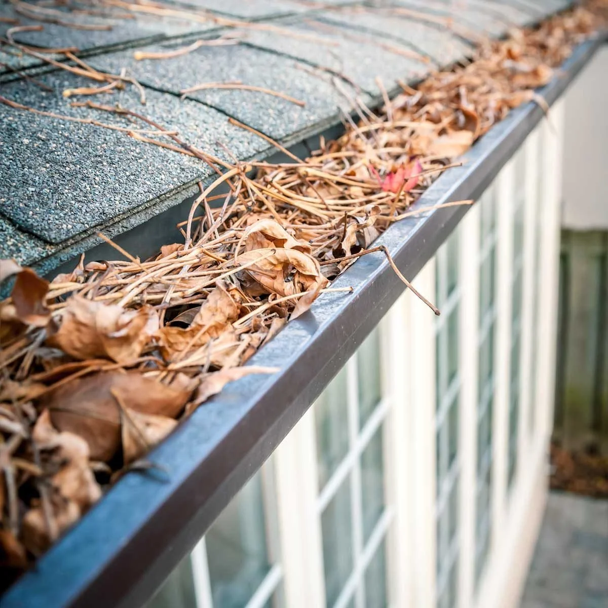 Clogged gutter full of debris before cleaning in Raleigh NC