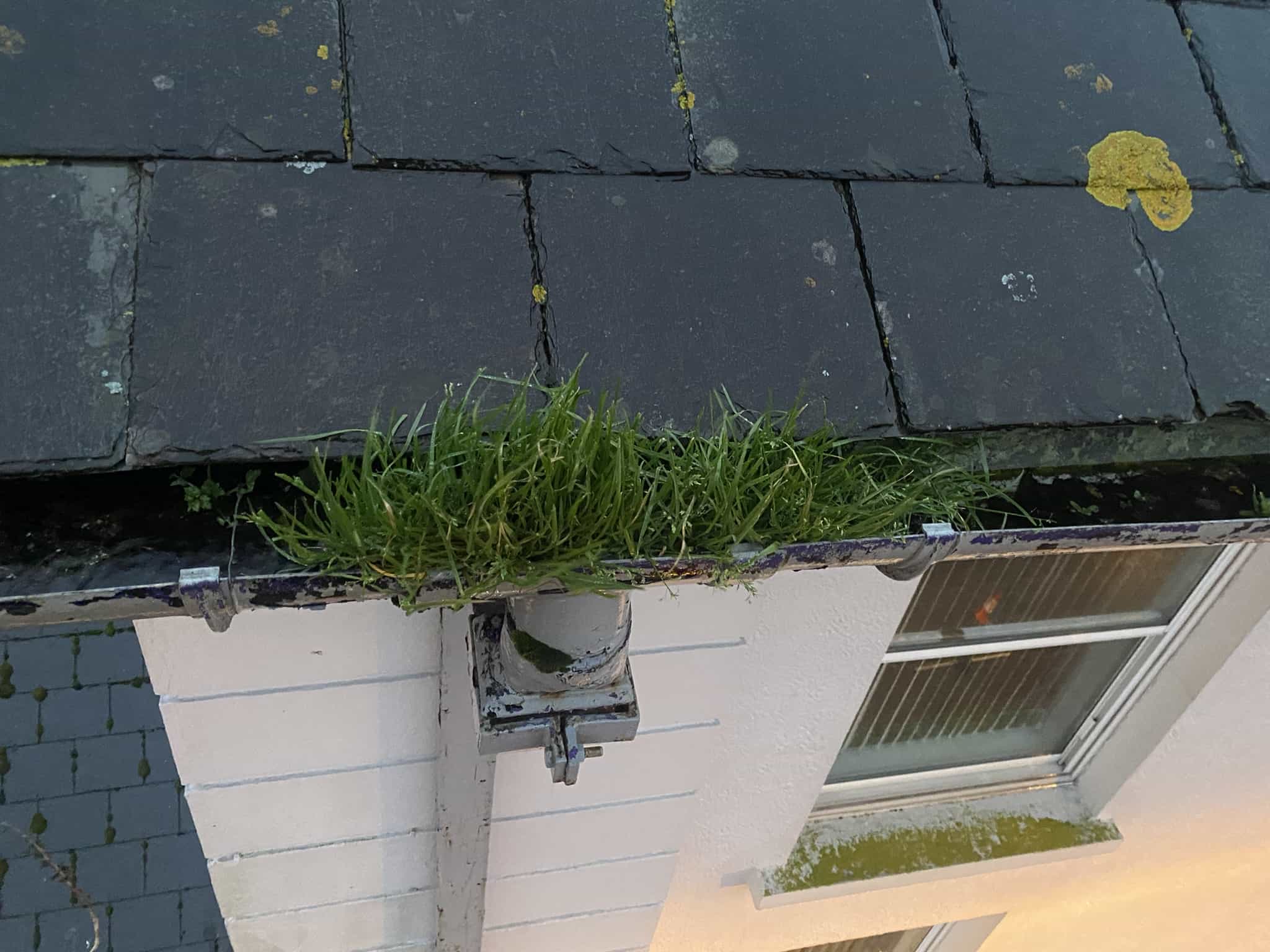 Cleaning-your-roof-to-meet-HOA-guidelines-in-Raleigh-NC-the-P2-Wash-way