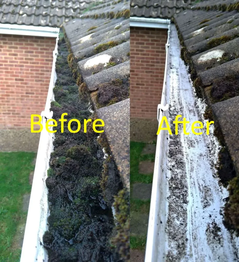 Gutter Cleaning Raleigh, NC - P2 Pressure Washing and Cleaning Services.