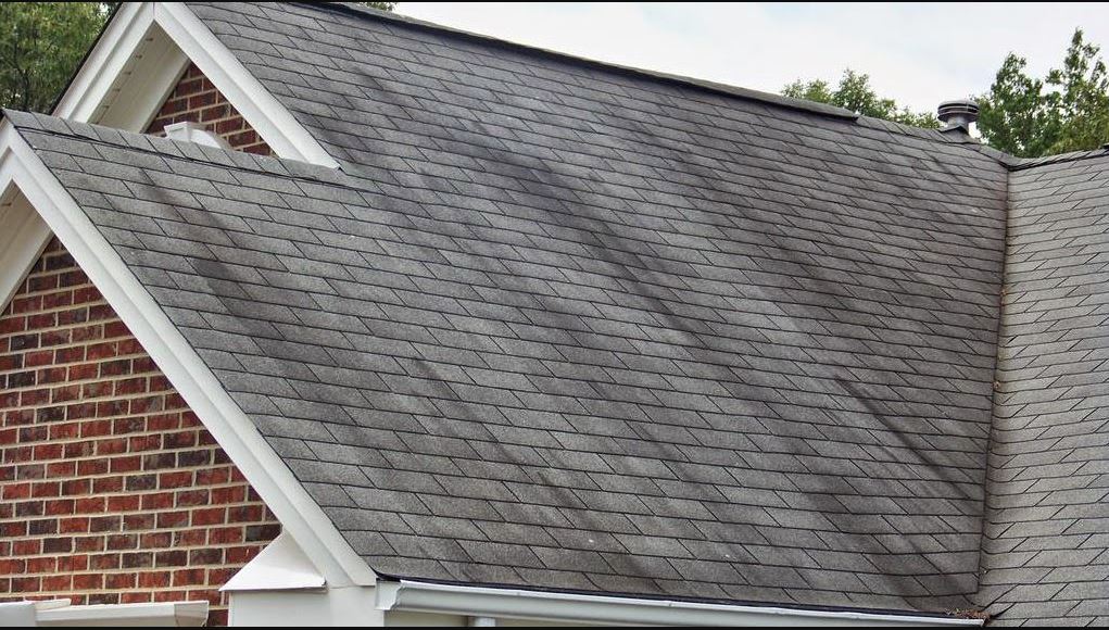 Roof Cleaning in Raleigh, NC - P2 Pressure Washing and Cleaning Services