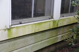 Clean the Siding of your house. Call P2 Wash Raleigh NC