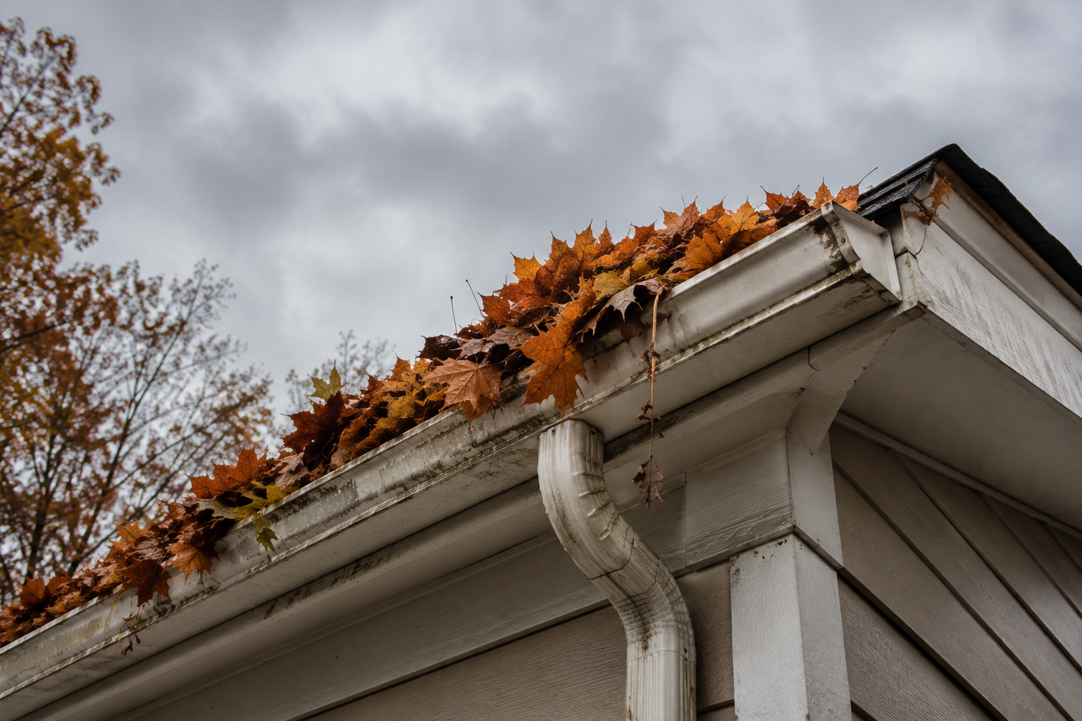 Gutter cleaning in Raleigh, NC